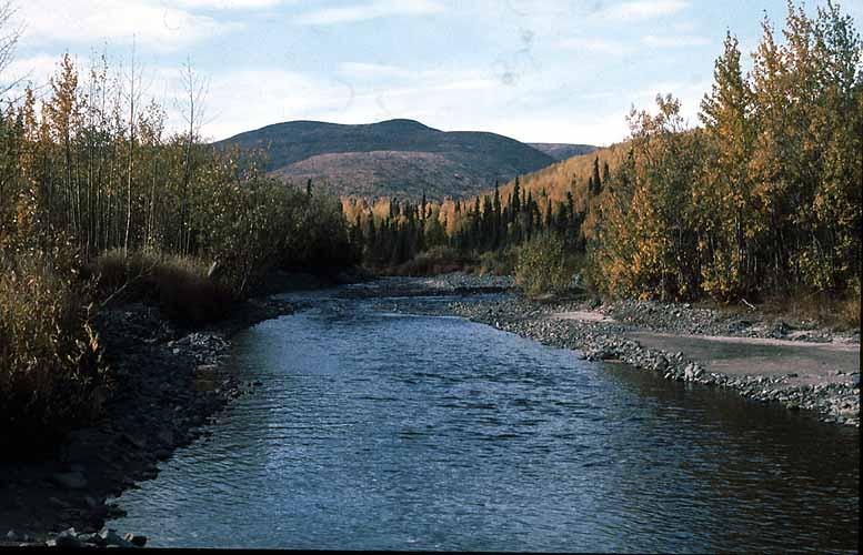 Creek in September